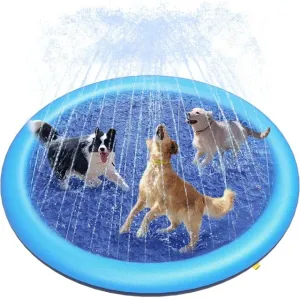 Dog Splash Pad