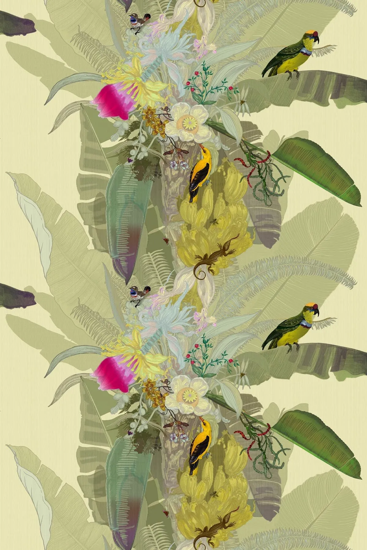 merian palm superwide wallpaper