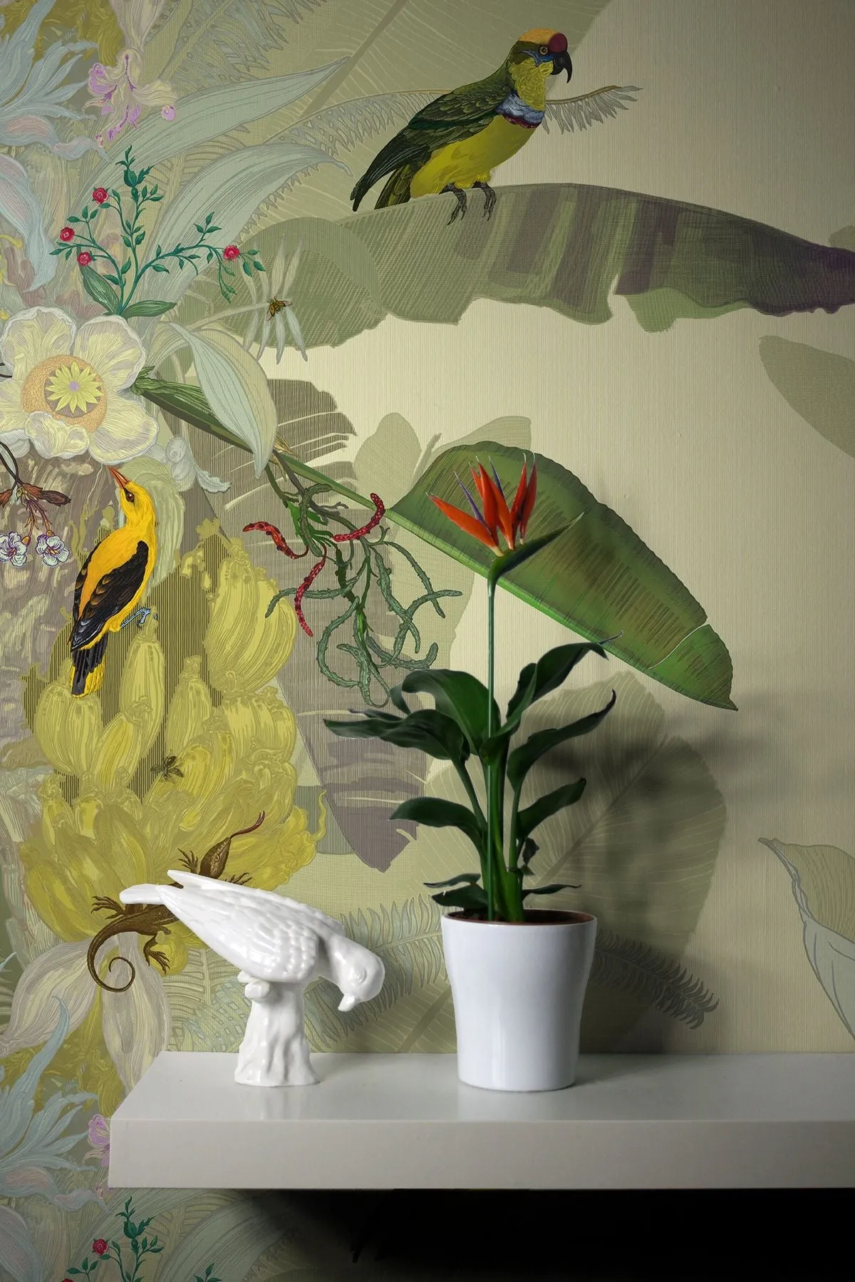 merian palm superwide wallpaper