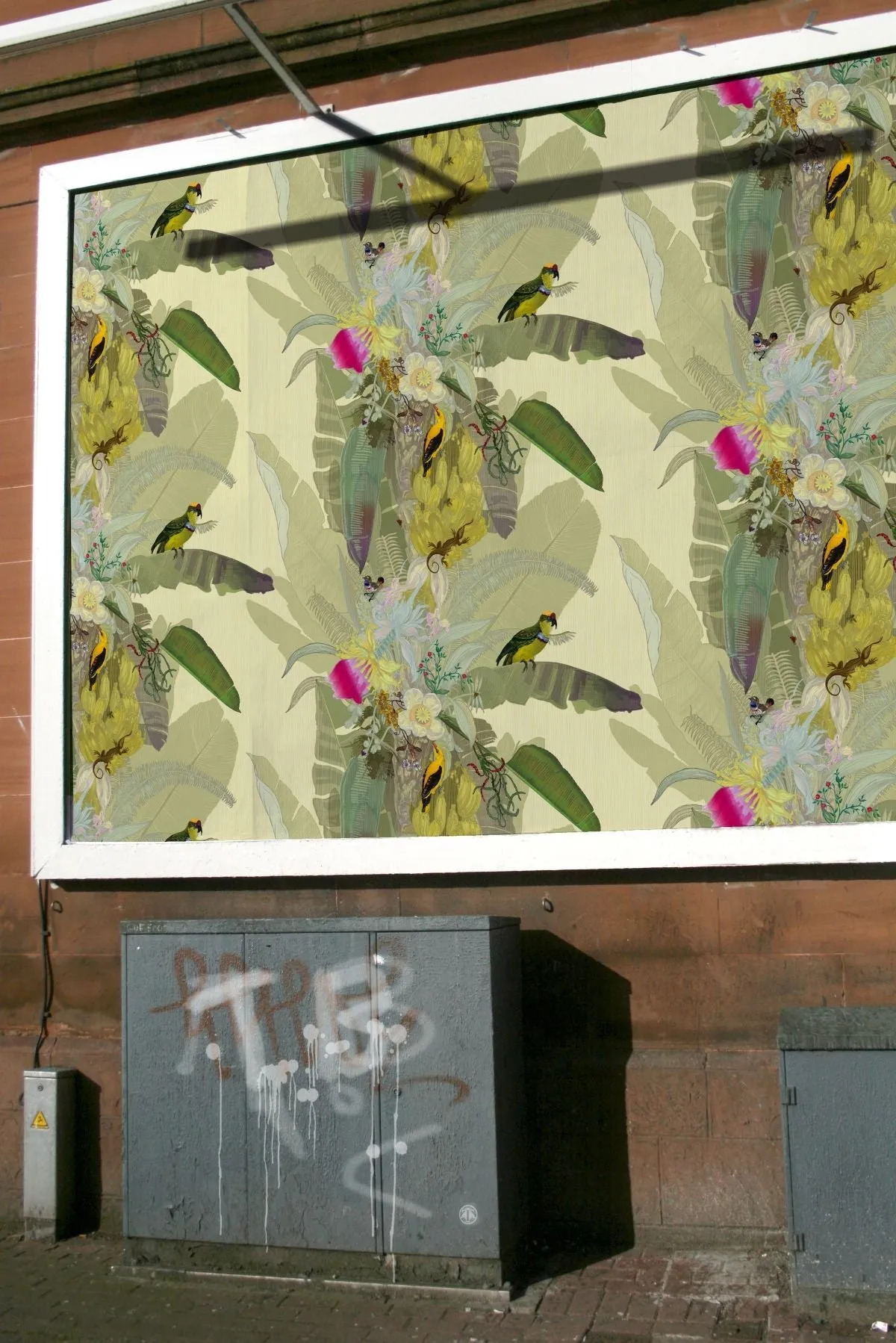 merian palm superwide wallpaper