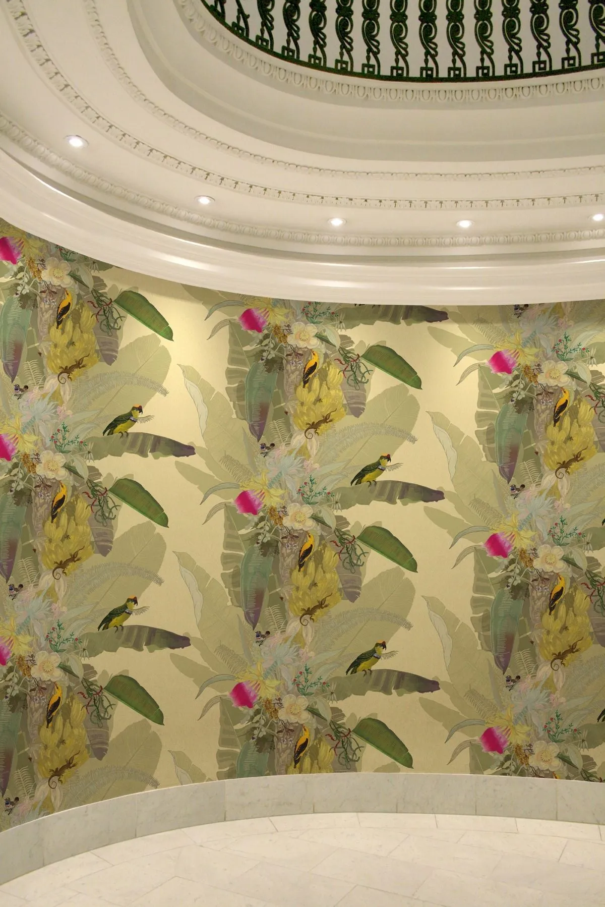 merian palm superwide wallpaper