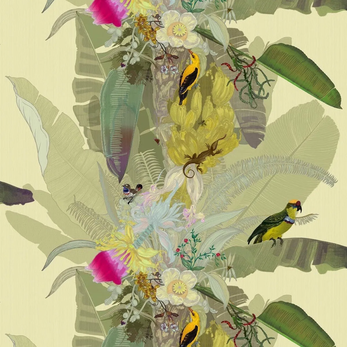 merian palm superwide wallpaper