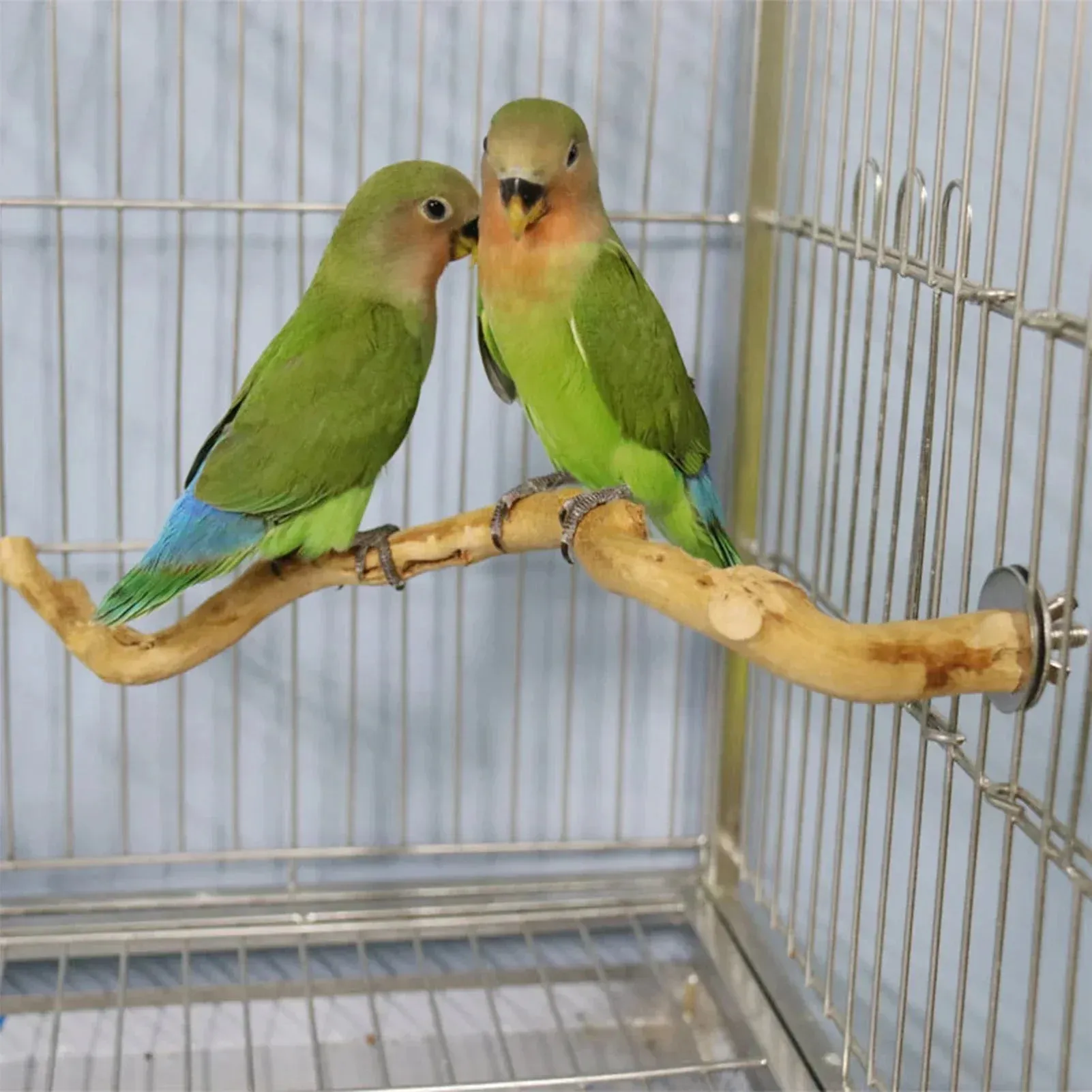 Natural Perch for cage
